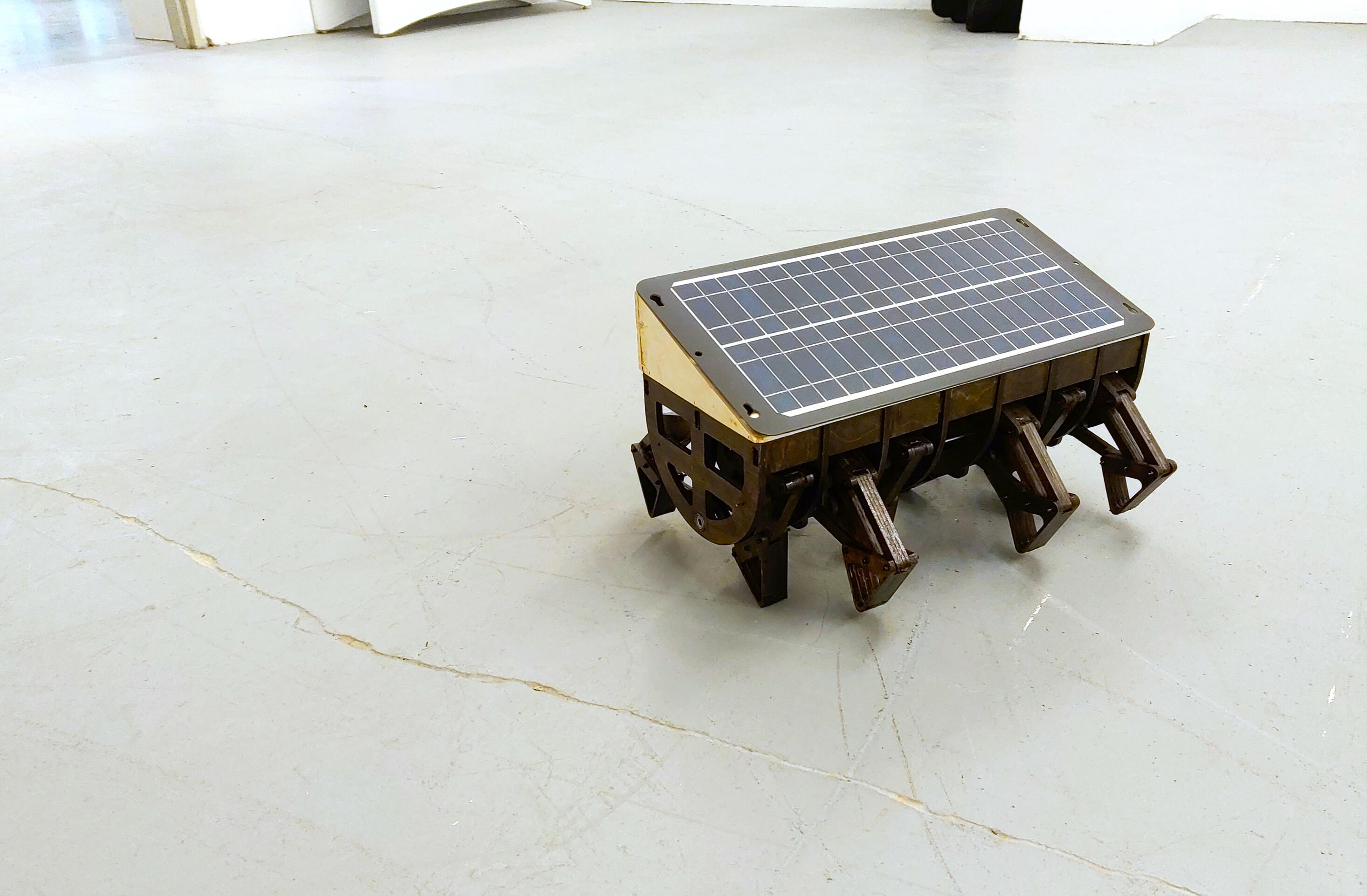 Bernard l'hermite solaire, 2025, Sculpture cinétique, contreplaqué, panneau solaire, composantes électroniques et pièces de quincaillerie